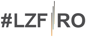 LZF Programare website Aplicatii web